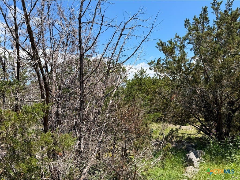 0.13 acres in Comal County - photo 7