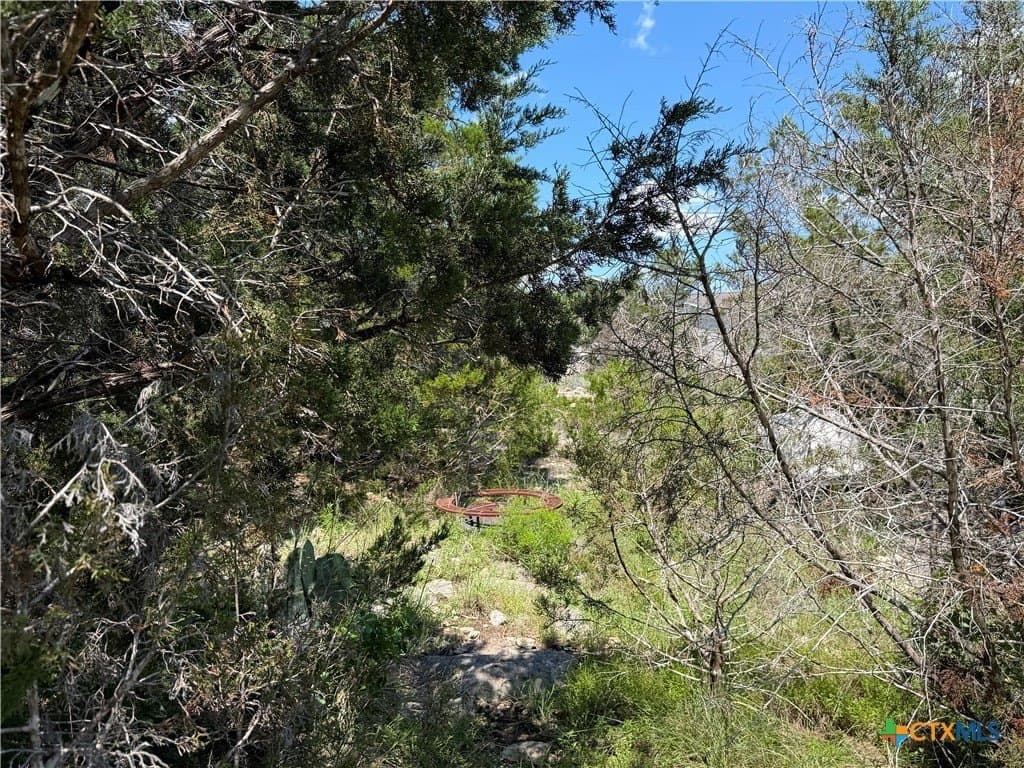 0.13 acres in Comal County - photo 6