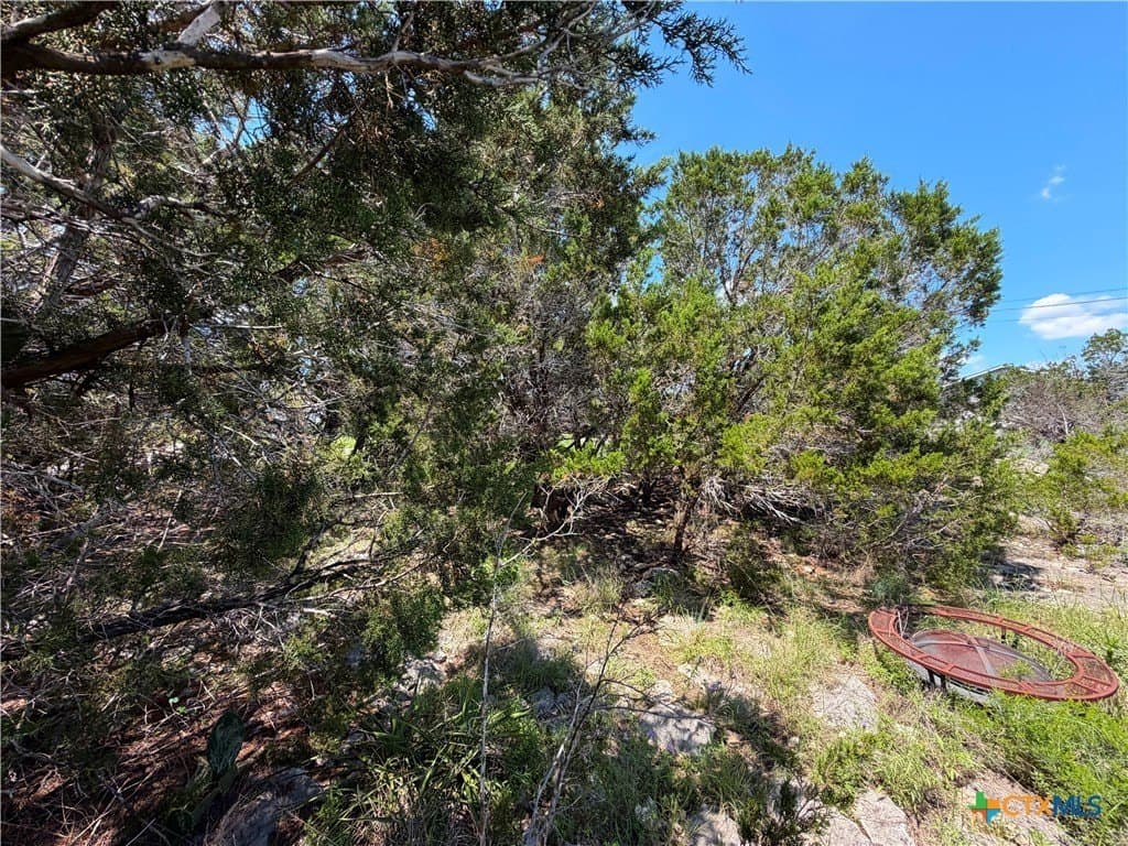 0.13 acres in Comal County - photo 11