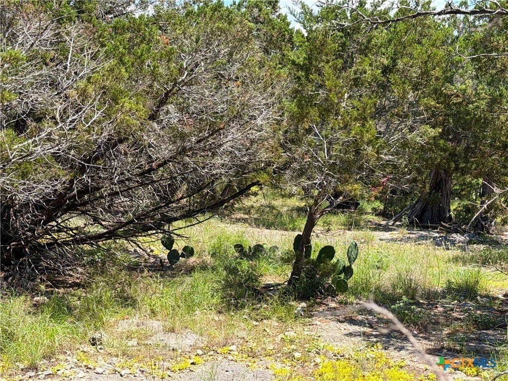 0.13 acres in Comal County - photo 13