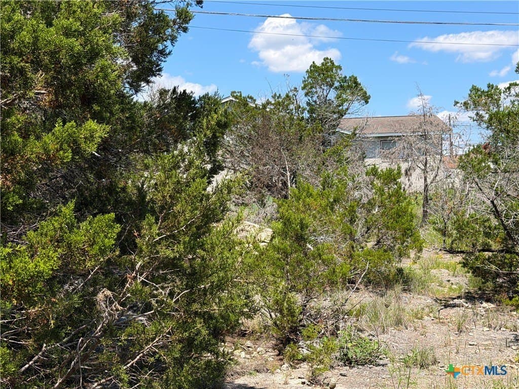 0.13 acres in Comal County - photo 14
