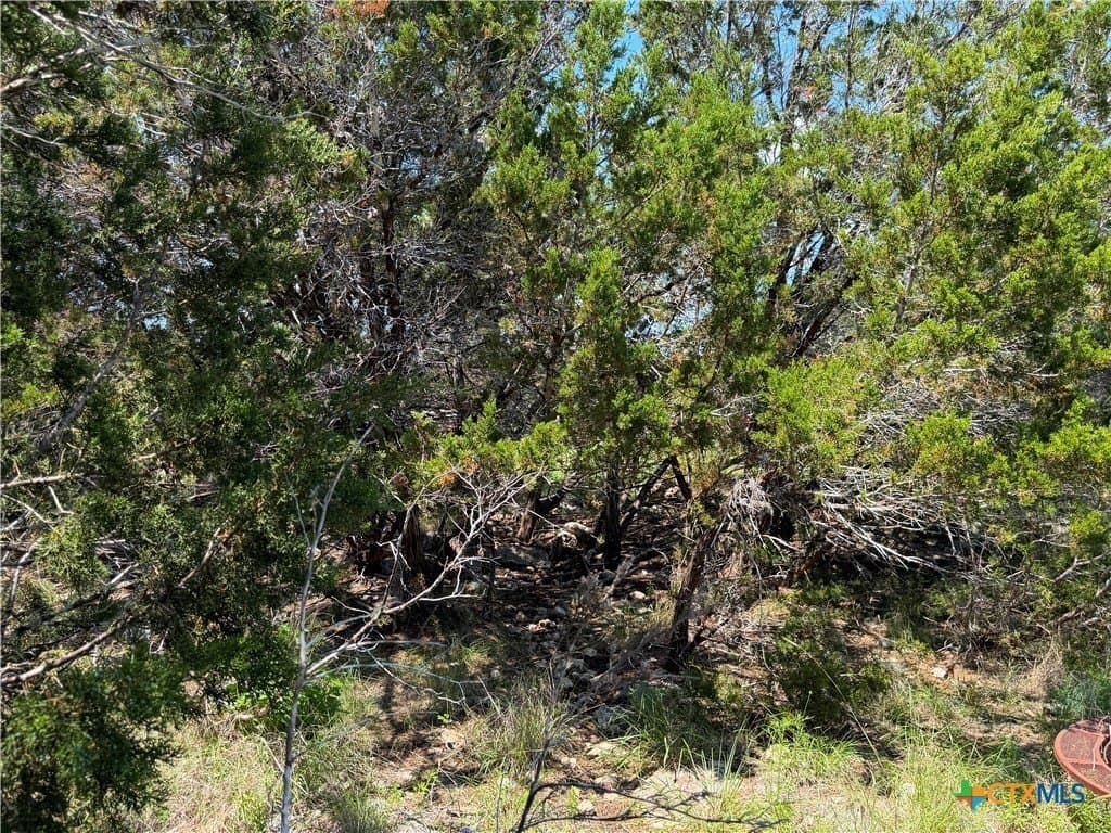 0.13 acres in Comal County - photo 9