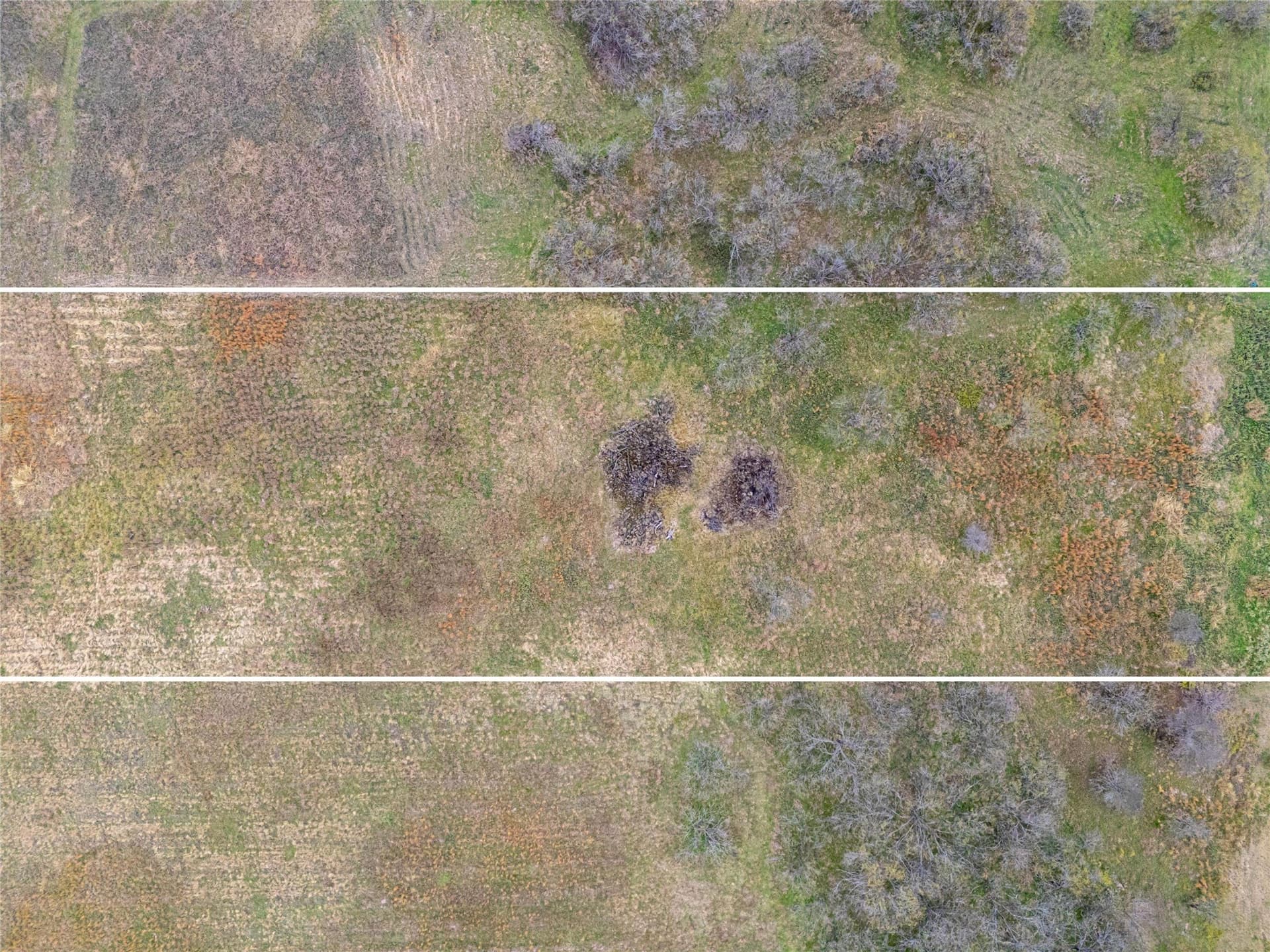 2.54 acres in Navarro County - photo 4