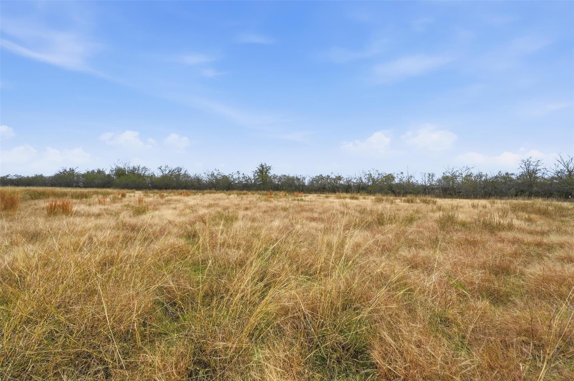 2.54 acres in Navarro County - photo 15