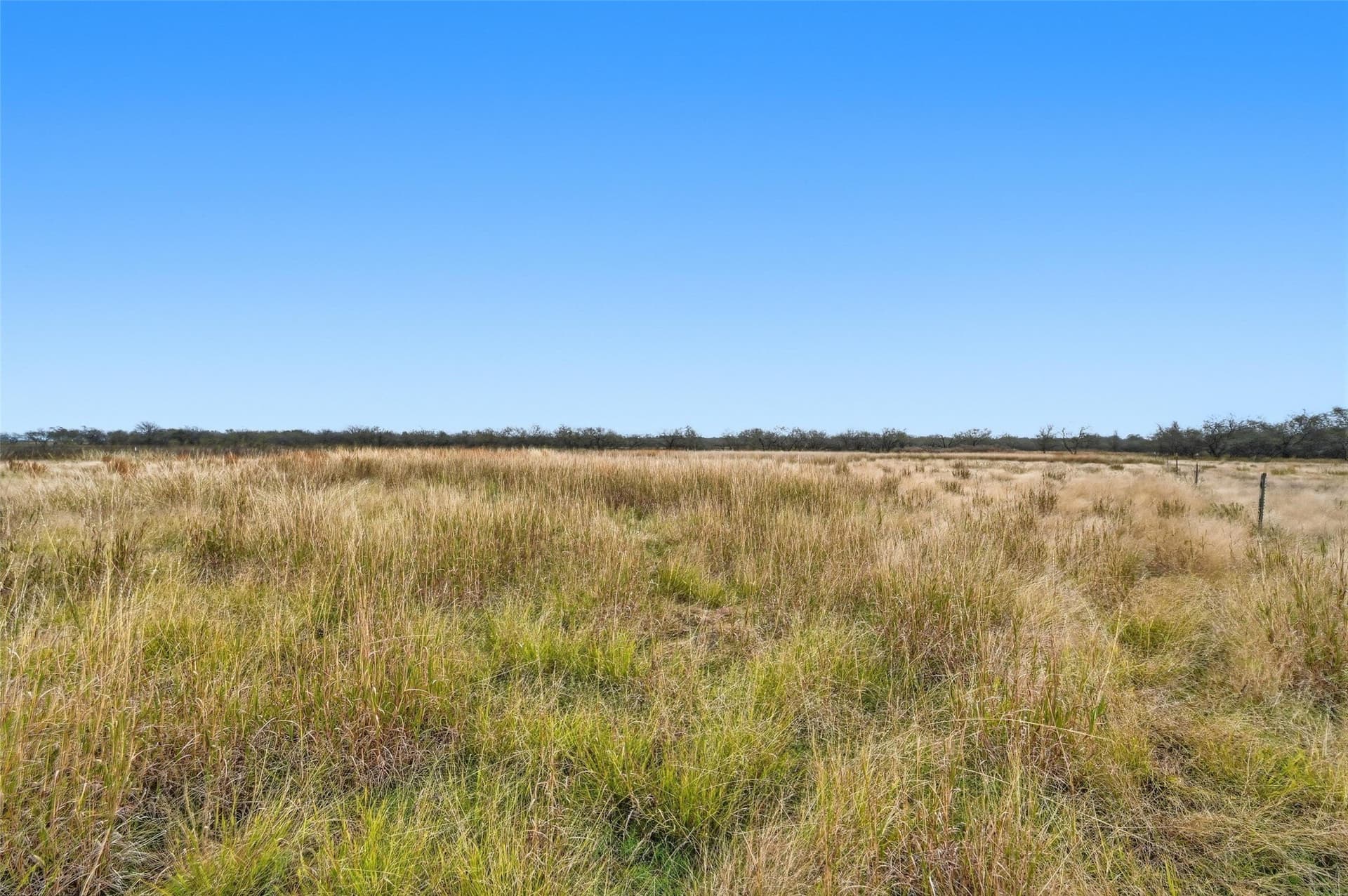 2.54 acres in Navarro County - photo 13