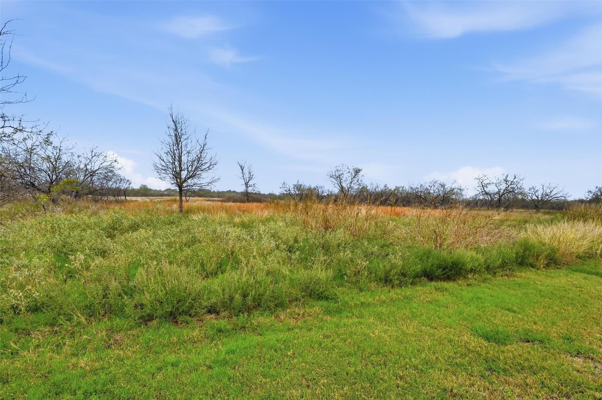 2.54 acres in Navarro County - photo 9