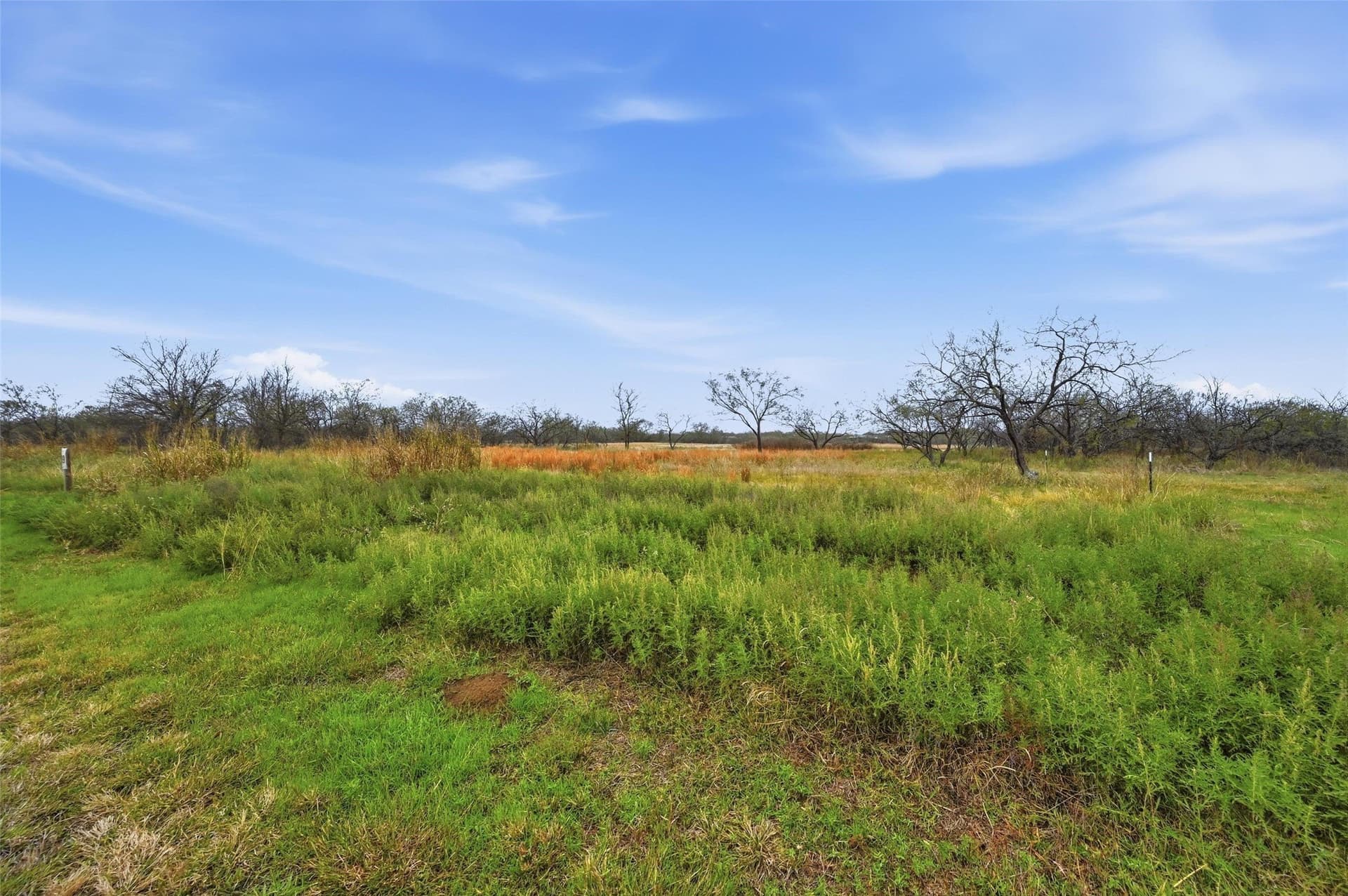 2.54 acres in Navarro County - photo 10