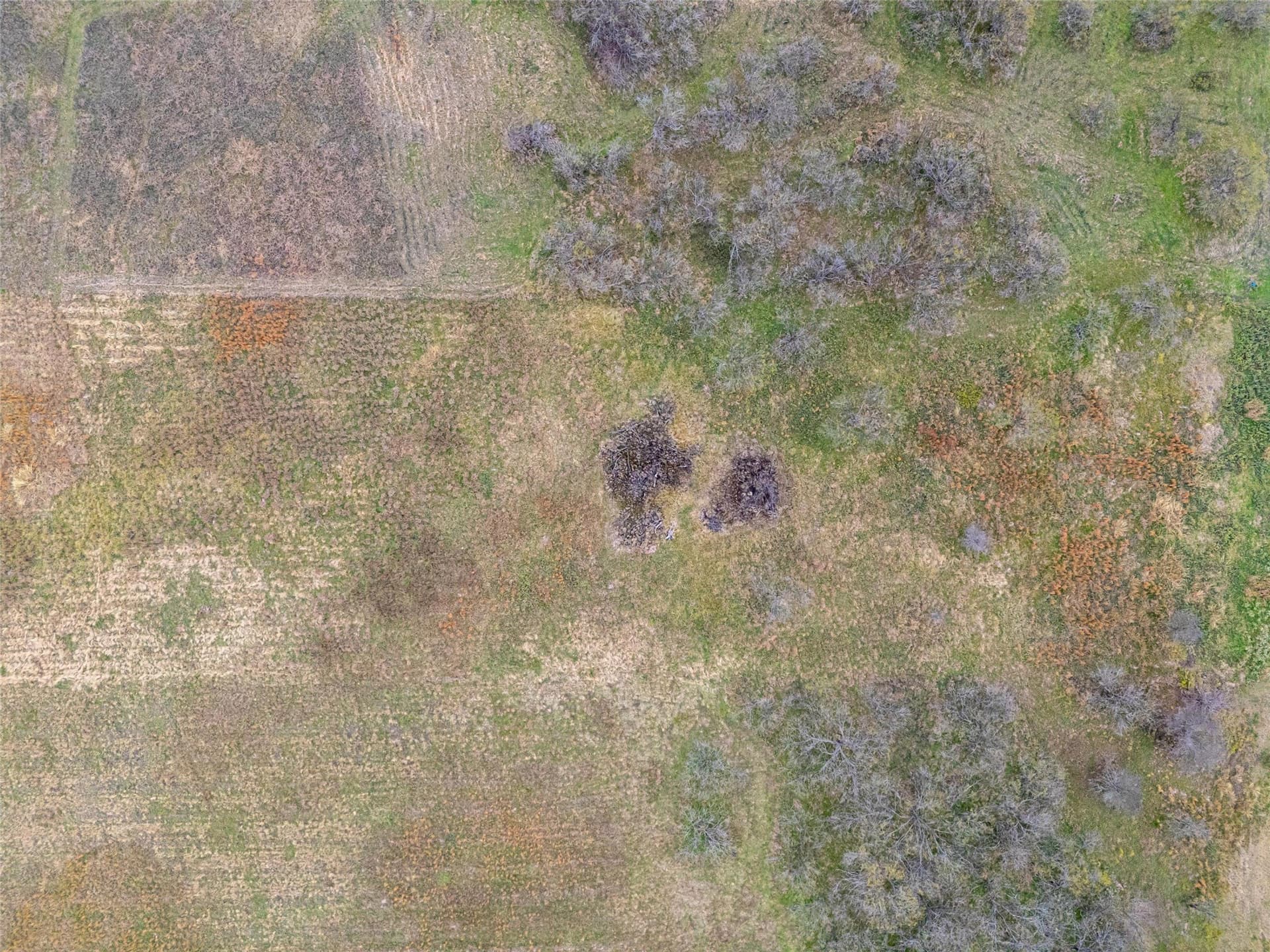 2.54 acres in Navarro County - photo 23