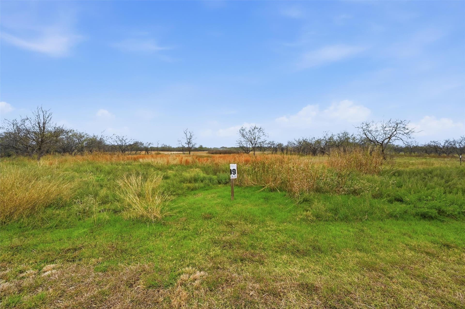 2.54 acres in Navarro County - photo 8