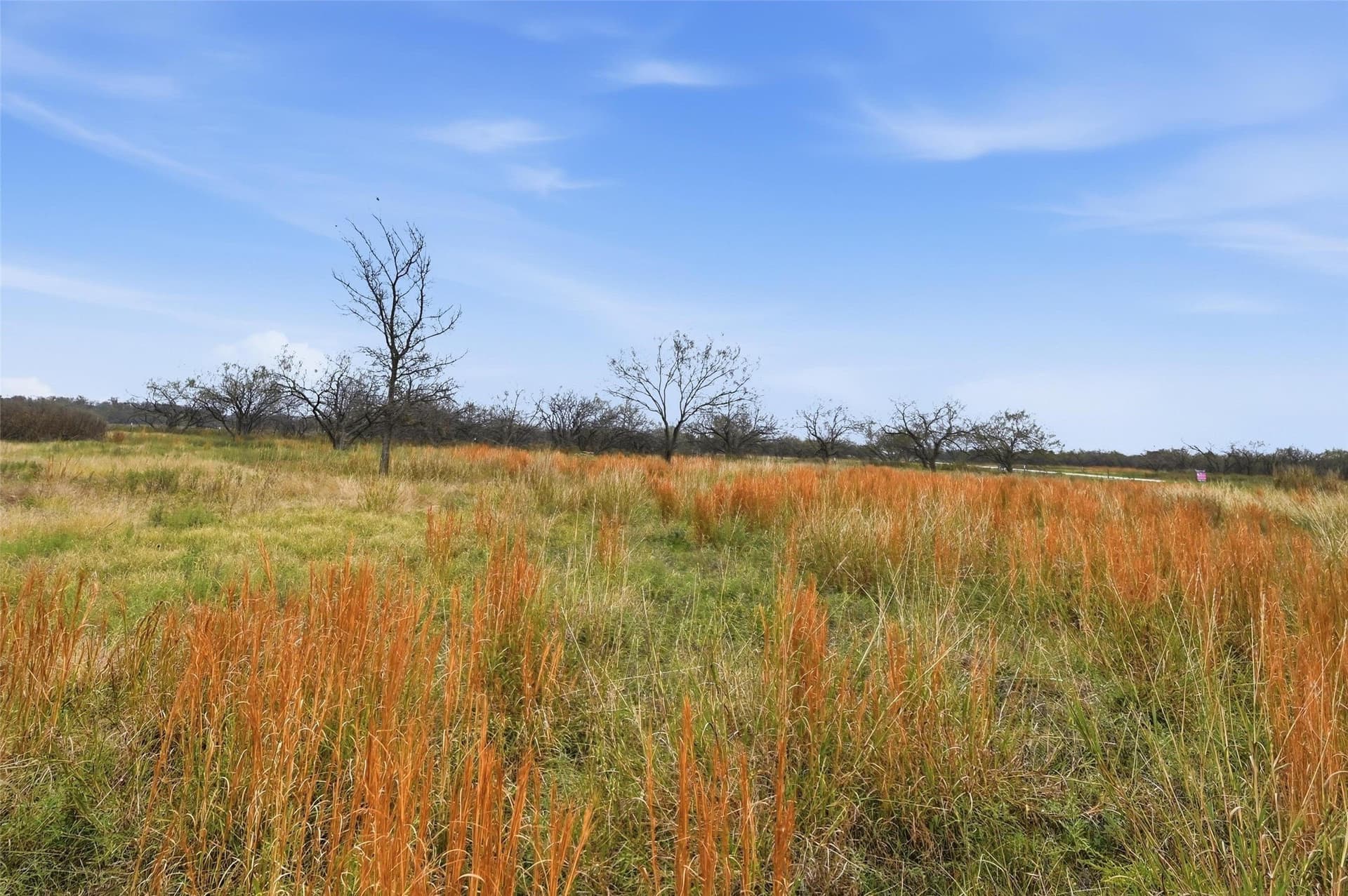 2.54 acres in Navarro County - photo 11