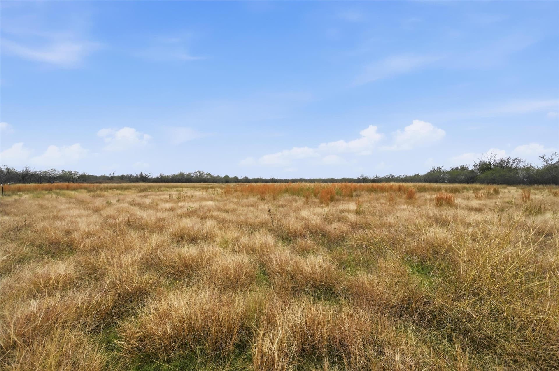 2.54 acres in Navarro County - photo 14