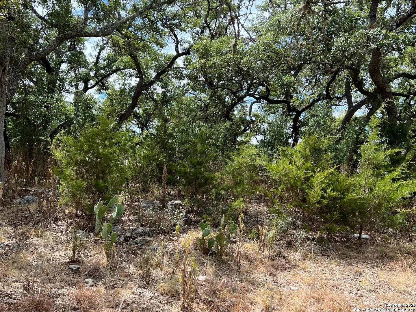 0.31 acres in Kendall County - photo 5