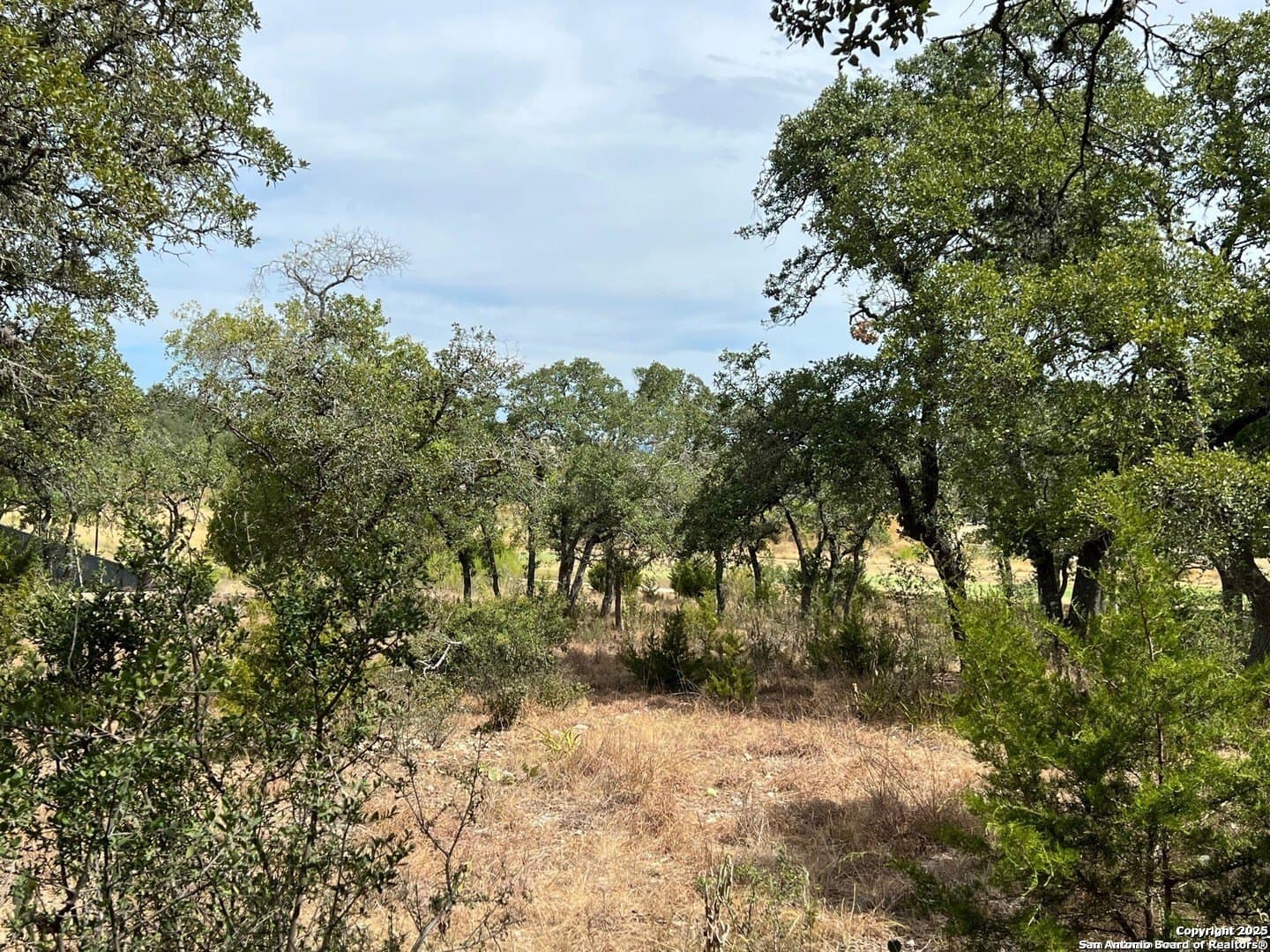 0.31 acres in Kendall County - photo 3