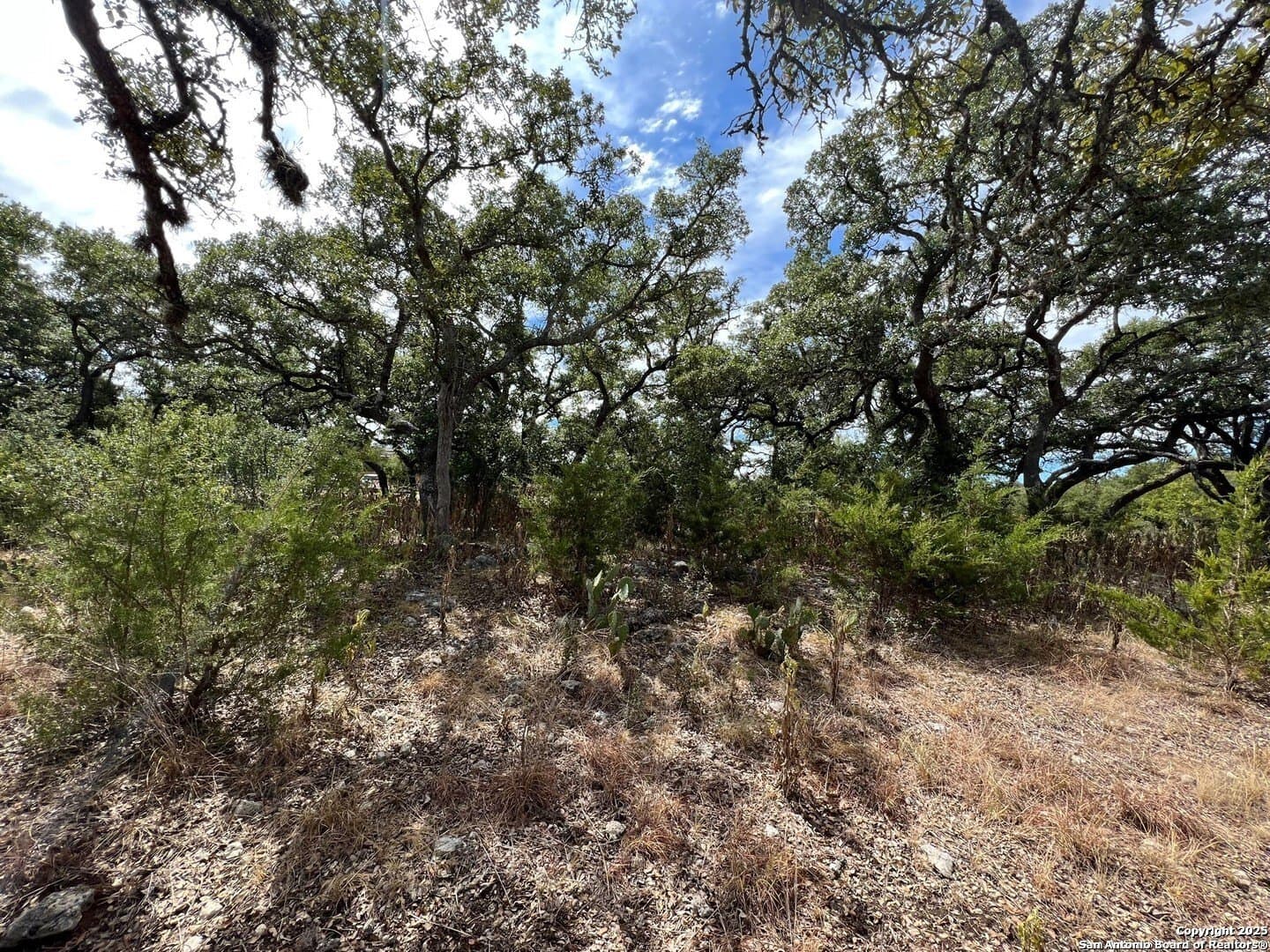 0.31 acres in Kendall County - photo 6
