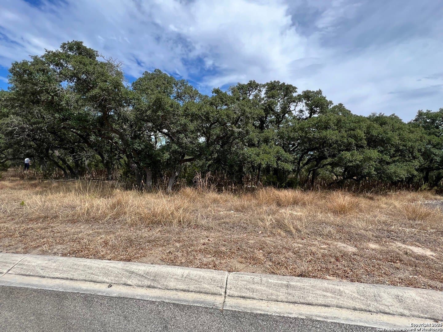 0.31 acres in Kendall County - photo 2