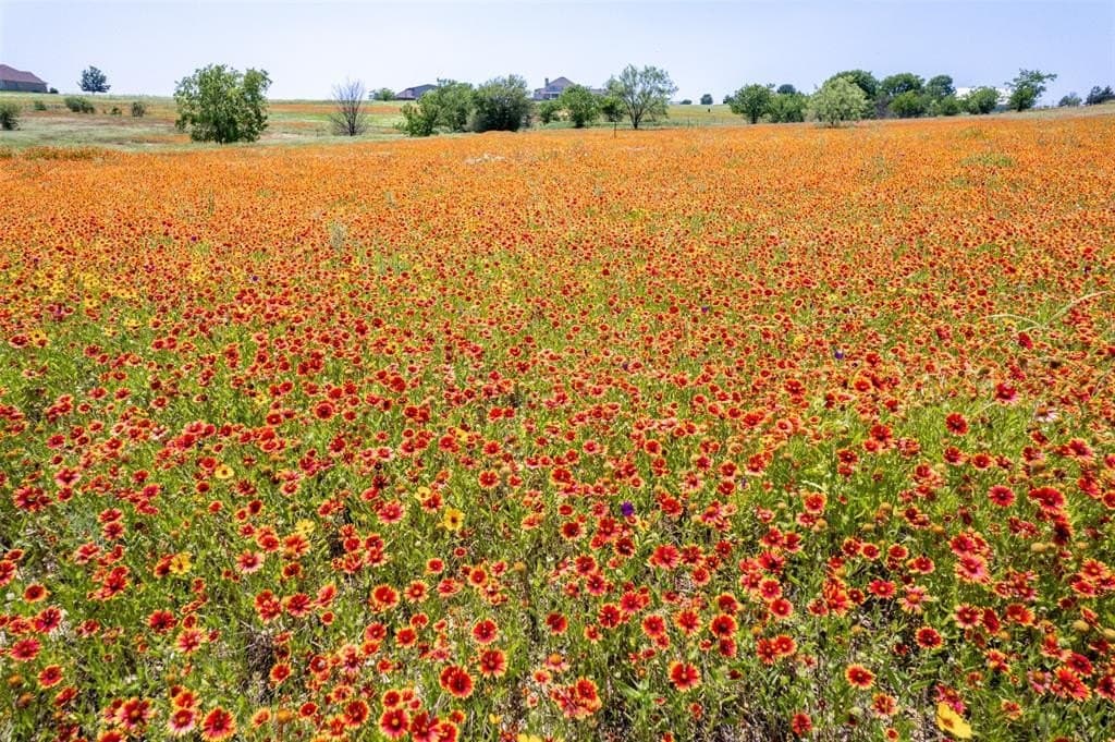 2.12 acres in Parker County gallery image 4