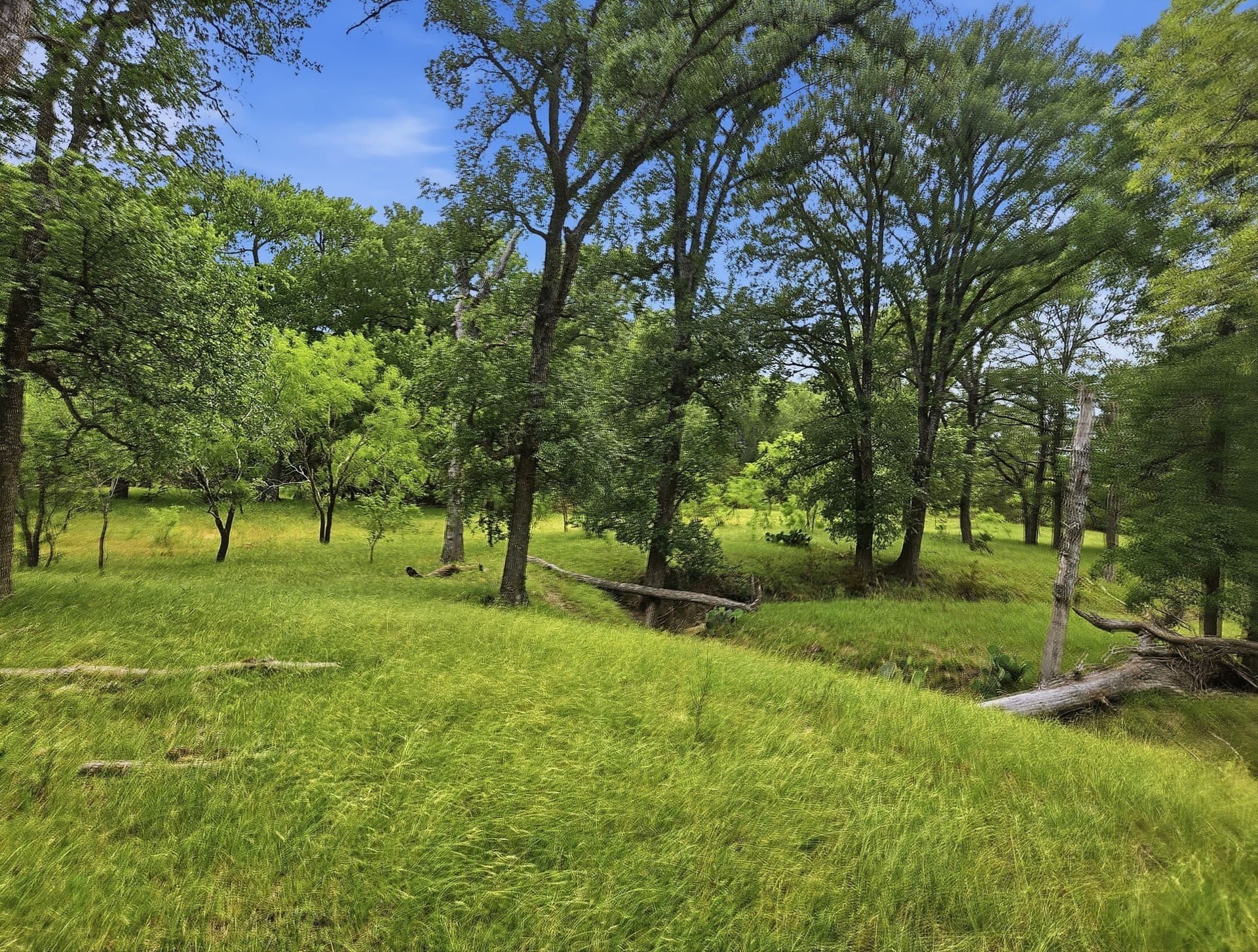 148.43 acres in Lampasas County - photo 37