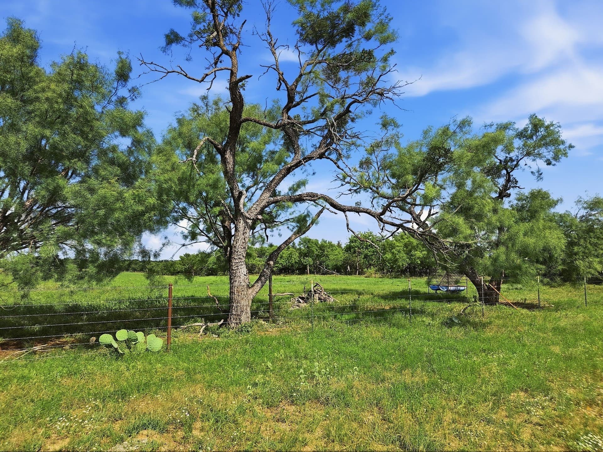 148.43 acres in Lampasas County - photo 22