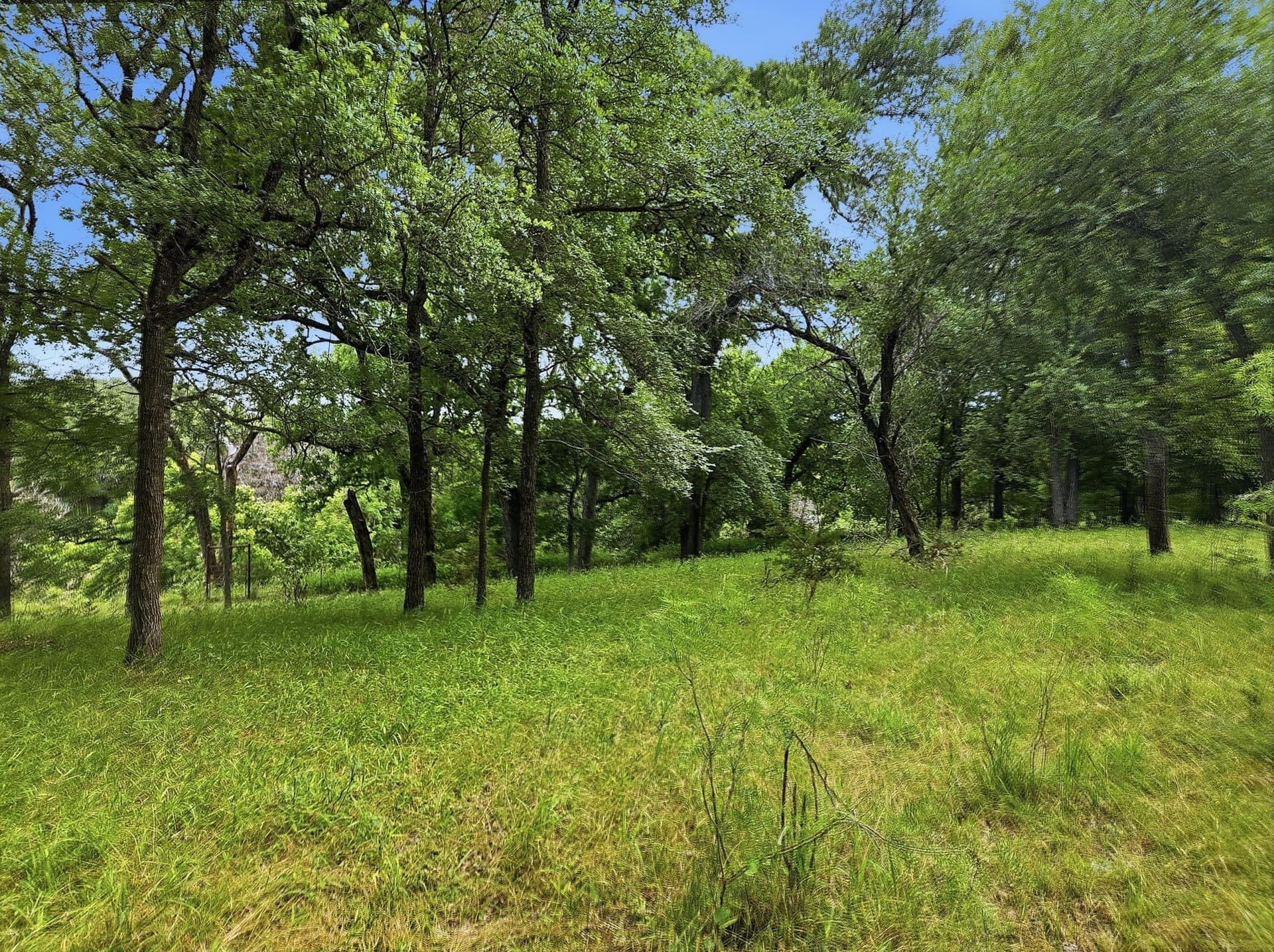 148.43 acres in Lampasas County - photo 29