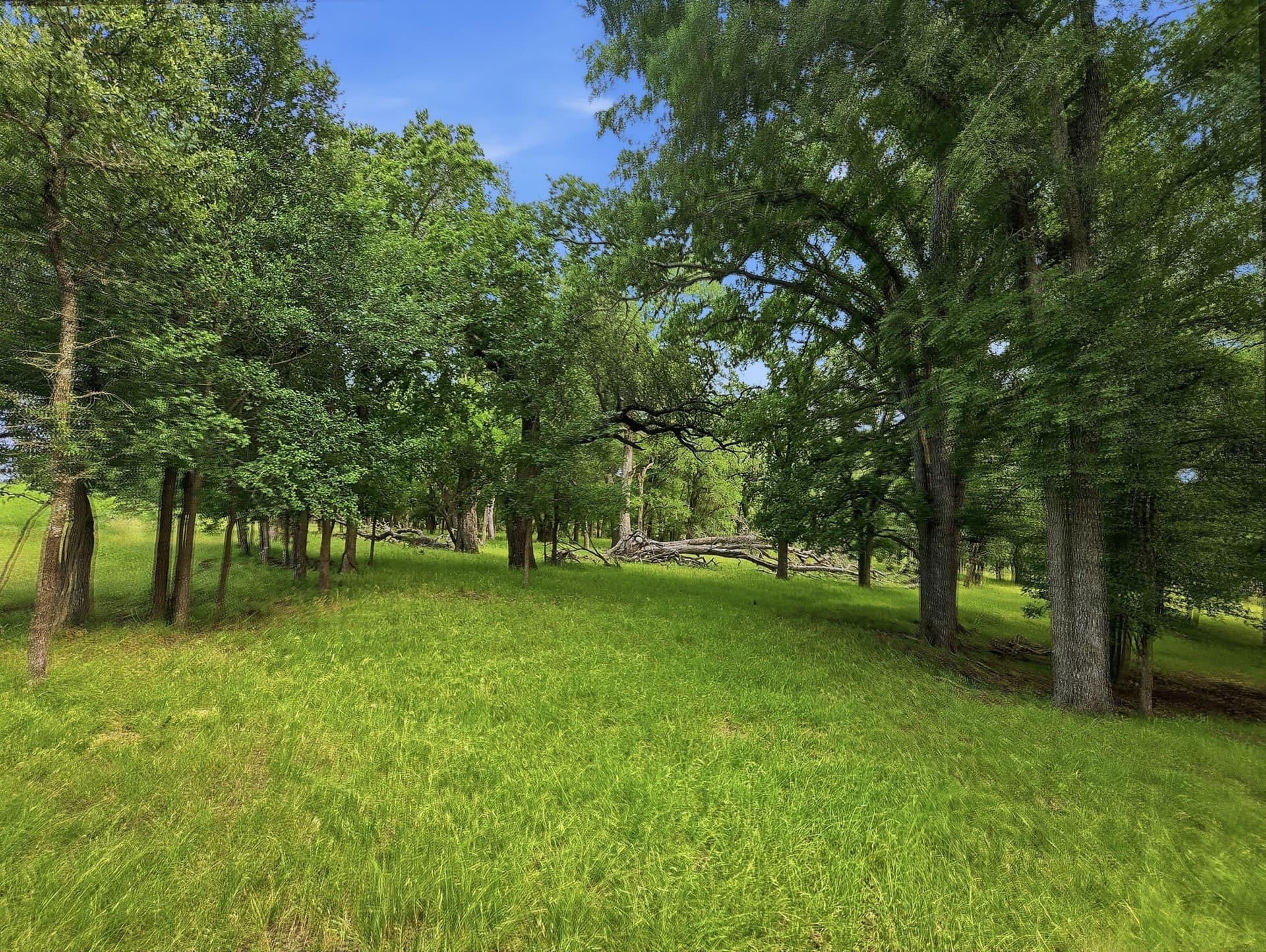 148.43 acres in Lampasas County - photo 26