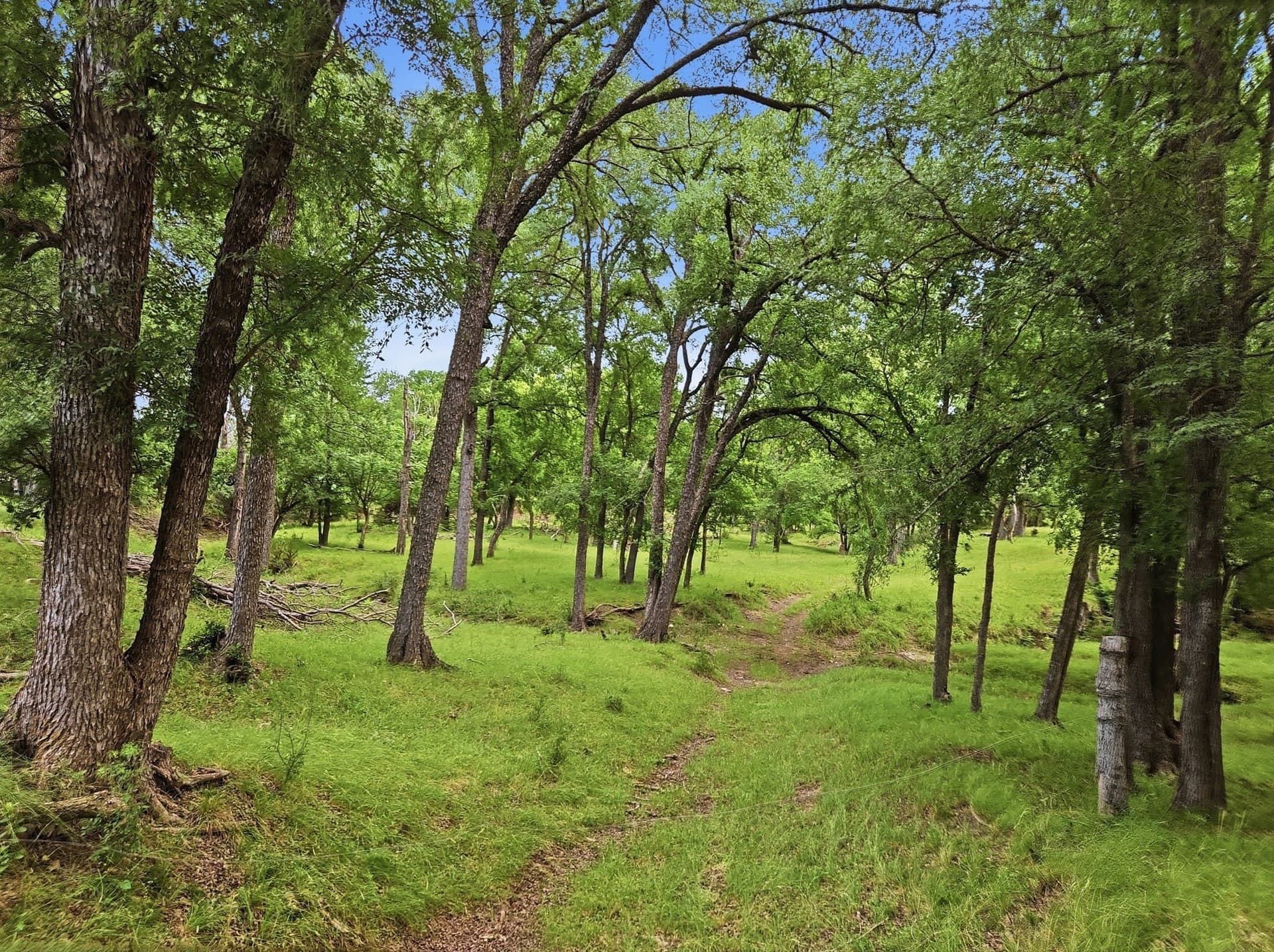 148.43 acres in Lampasas County - photo 33