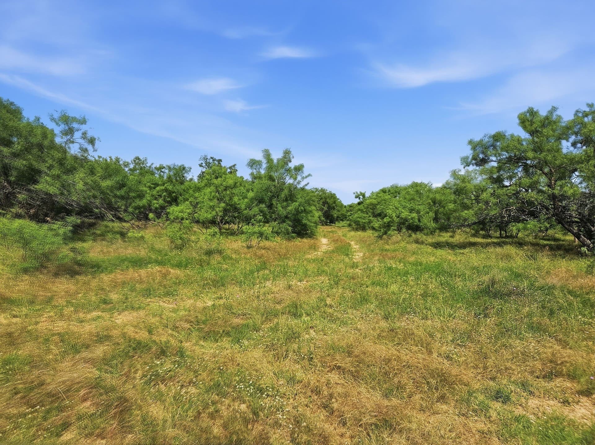 148.43 acres in Lampasas County - photo 25