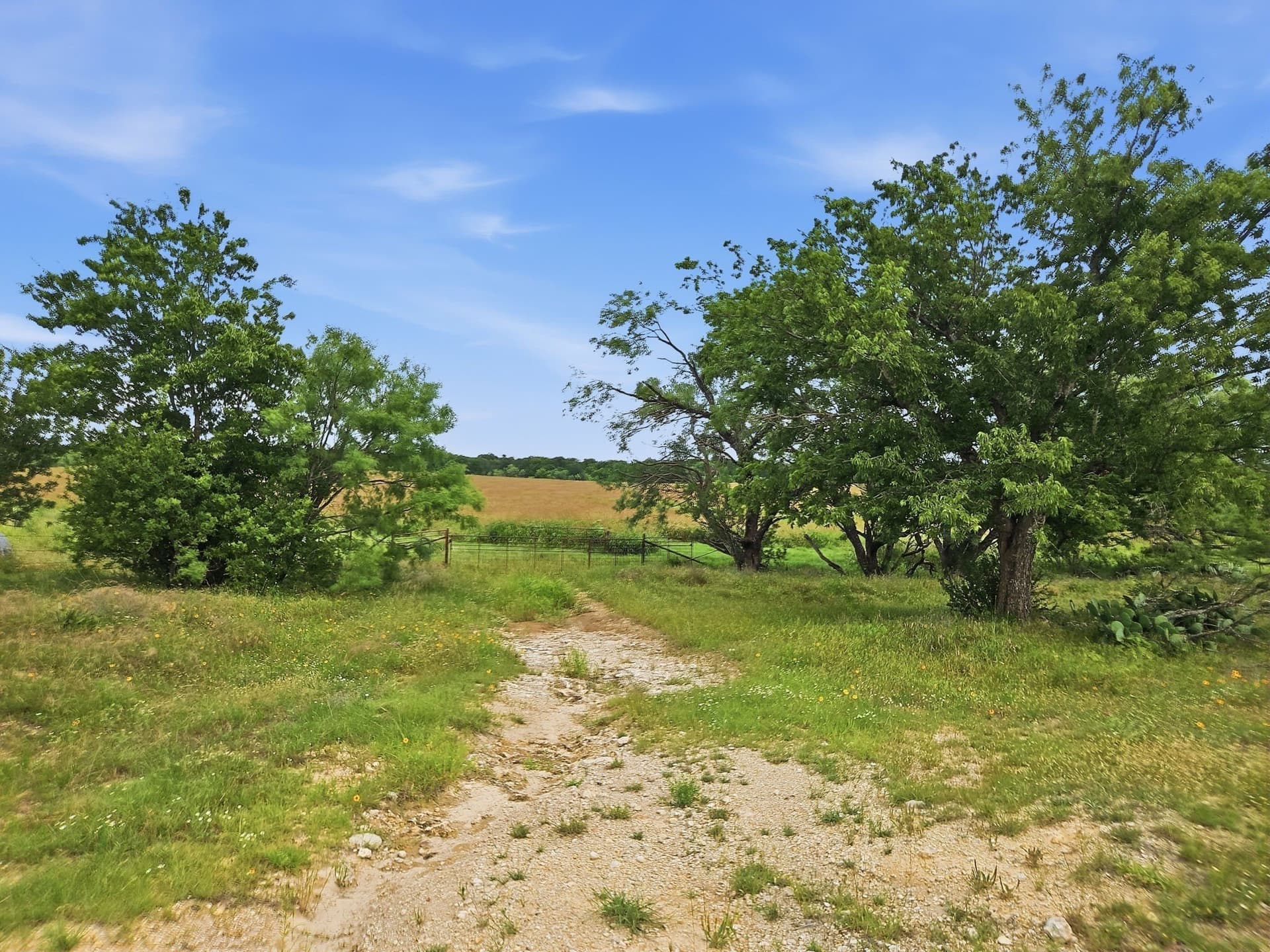 148.43 acres in Lampasas County - photo 34