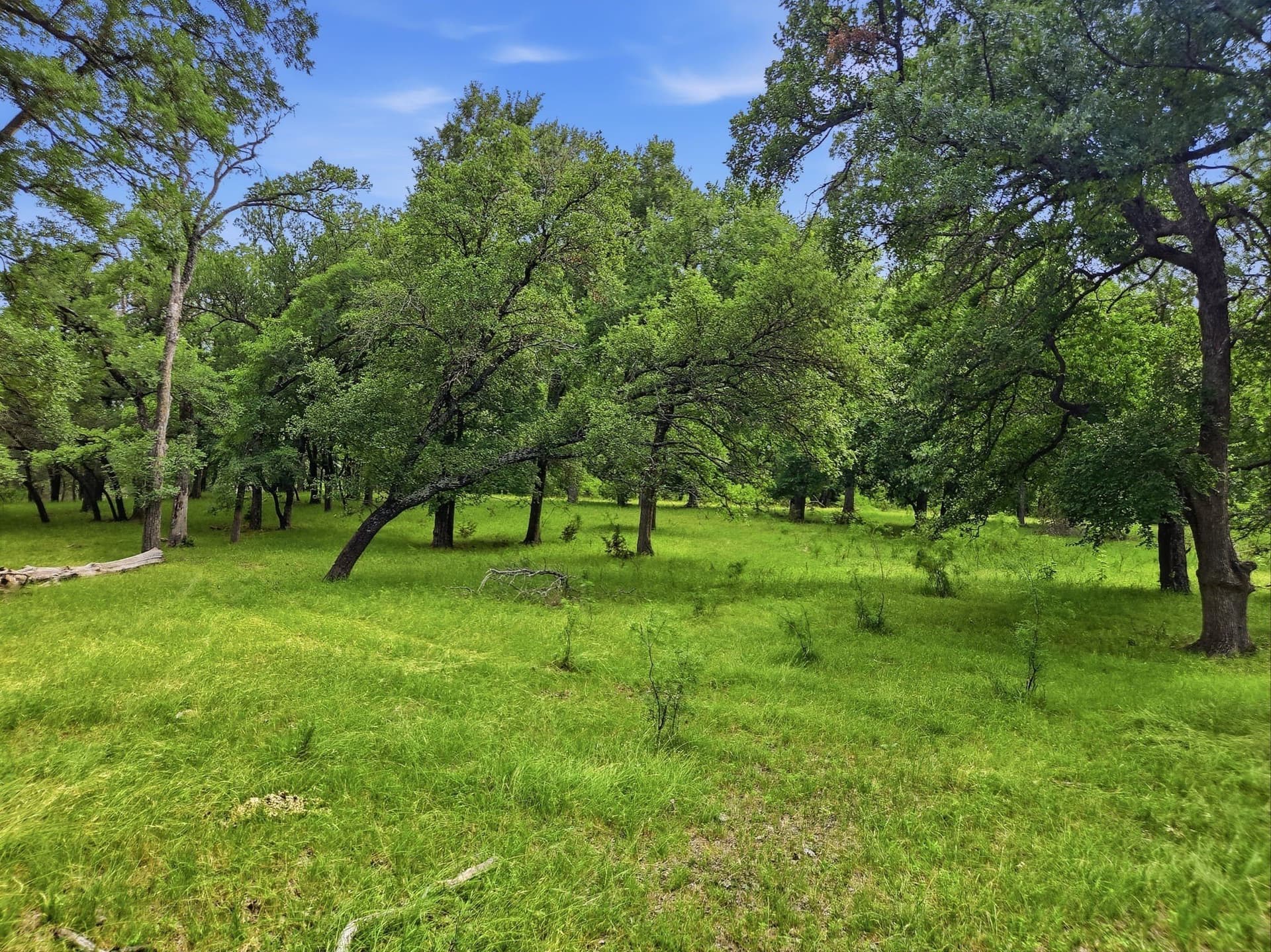 148.43 acres in Lampasas County - photo 36