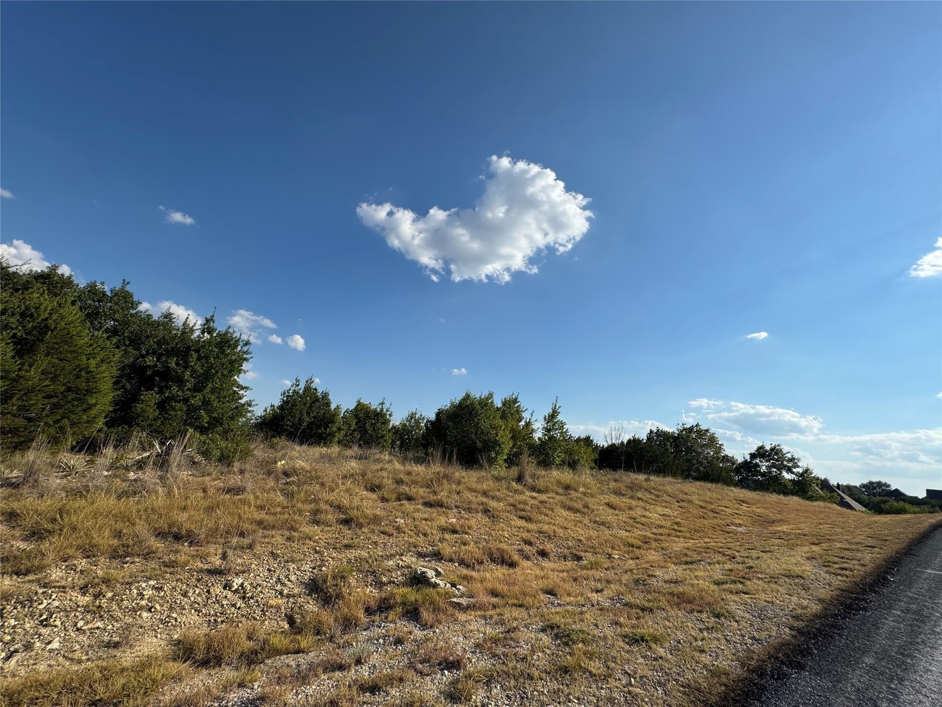 1.01 acres in Hood County - photo 9