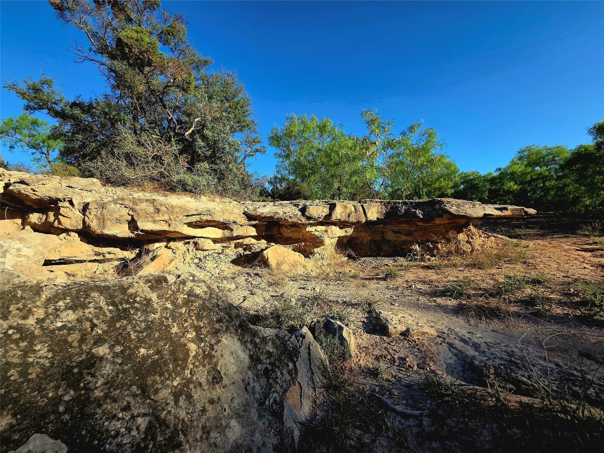408.5 acres in Knox County - photo 8