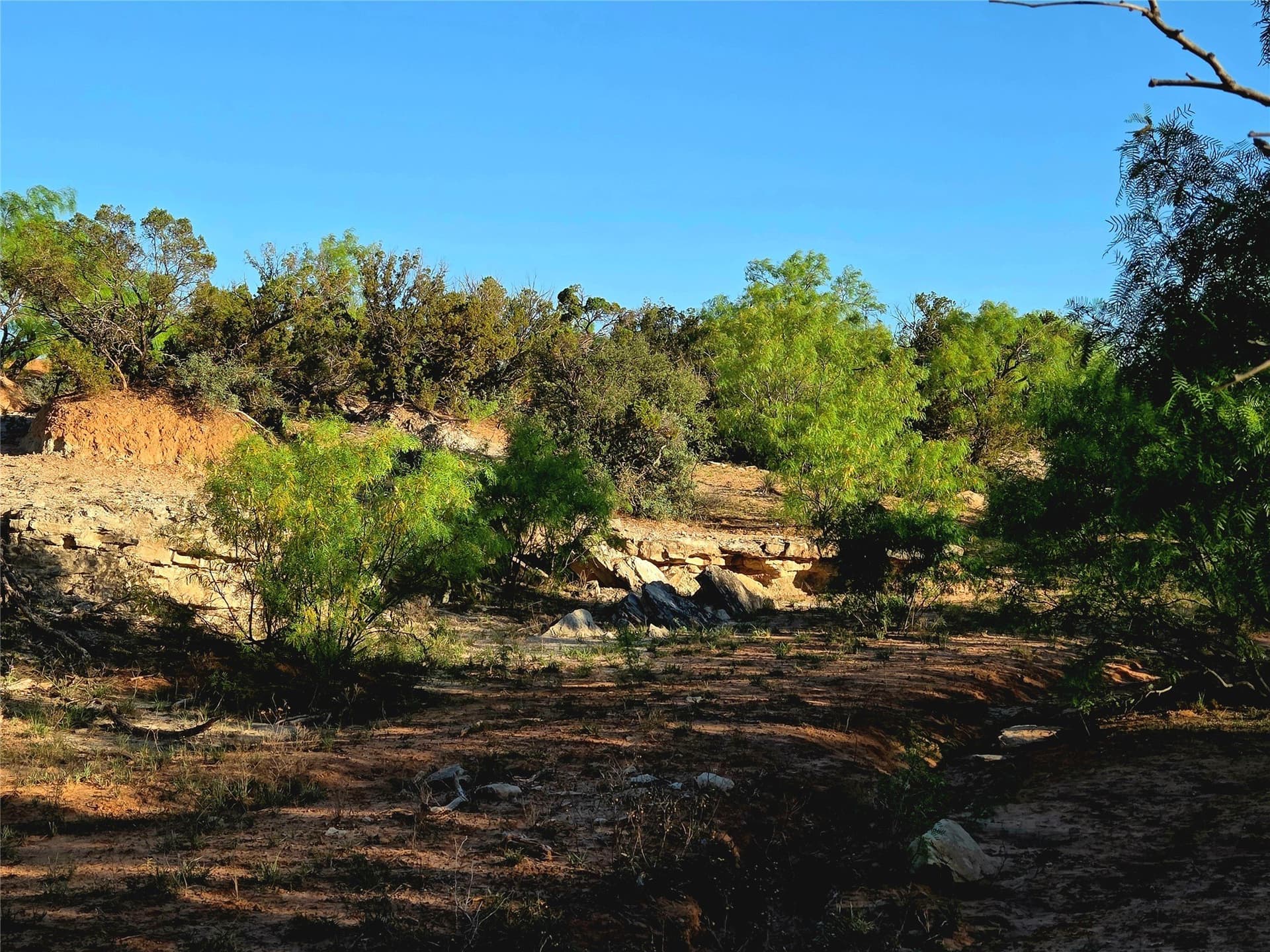 408.5 acres in Knox County - photo 15