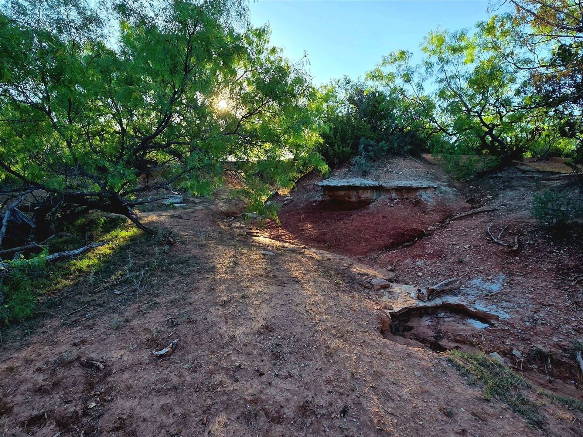 408.5 acres in Knox County - photo 12