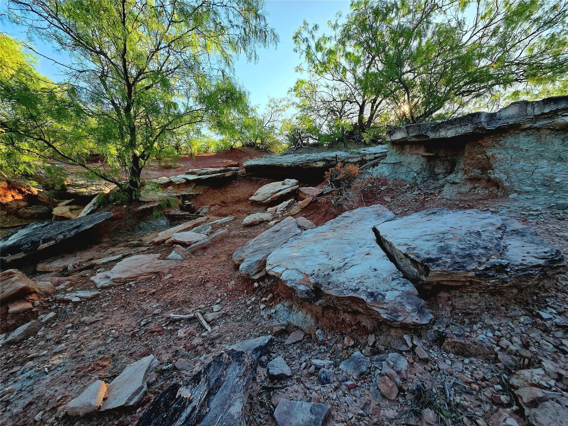 408.5 acres in Knox County - photo 14