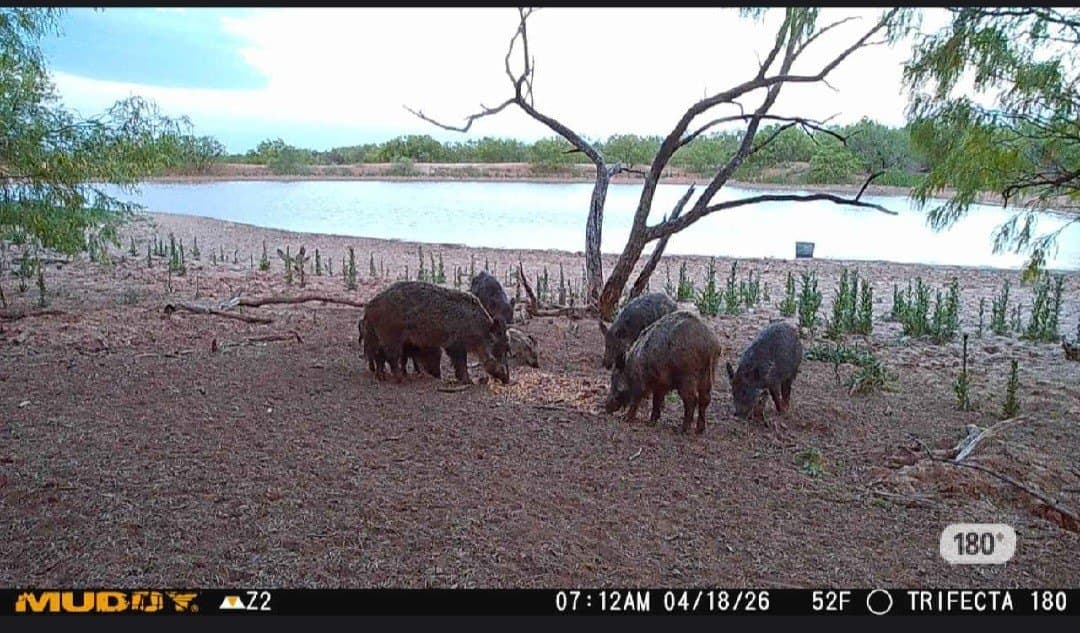 408.5 acres in Knox County - photo 29