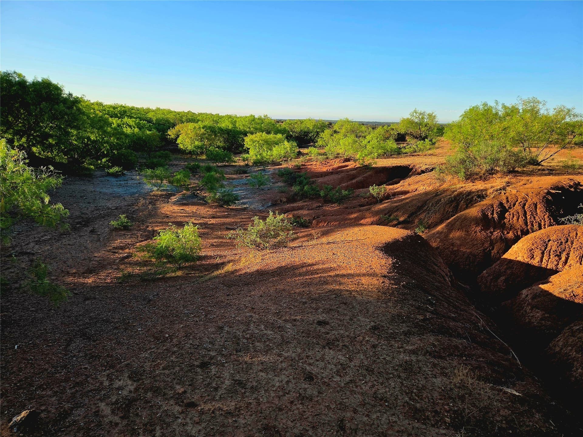 408.5 acres in Knox County - photo 16