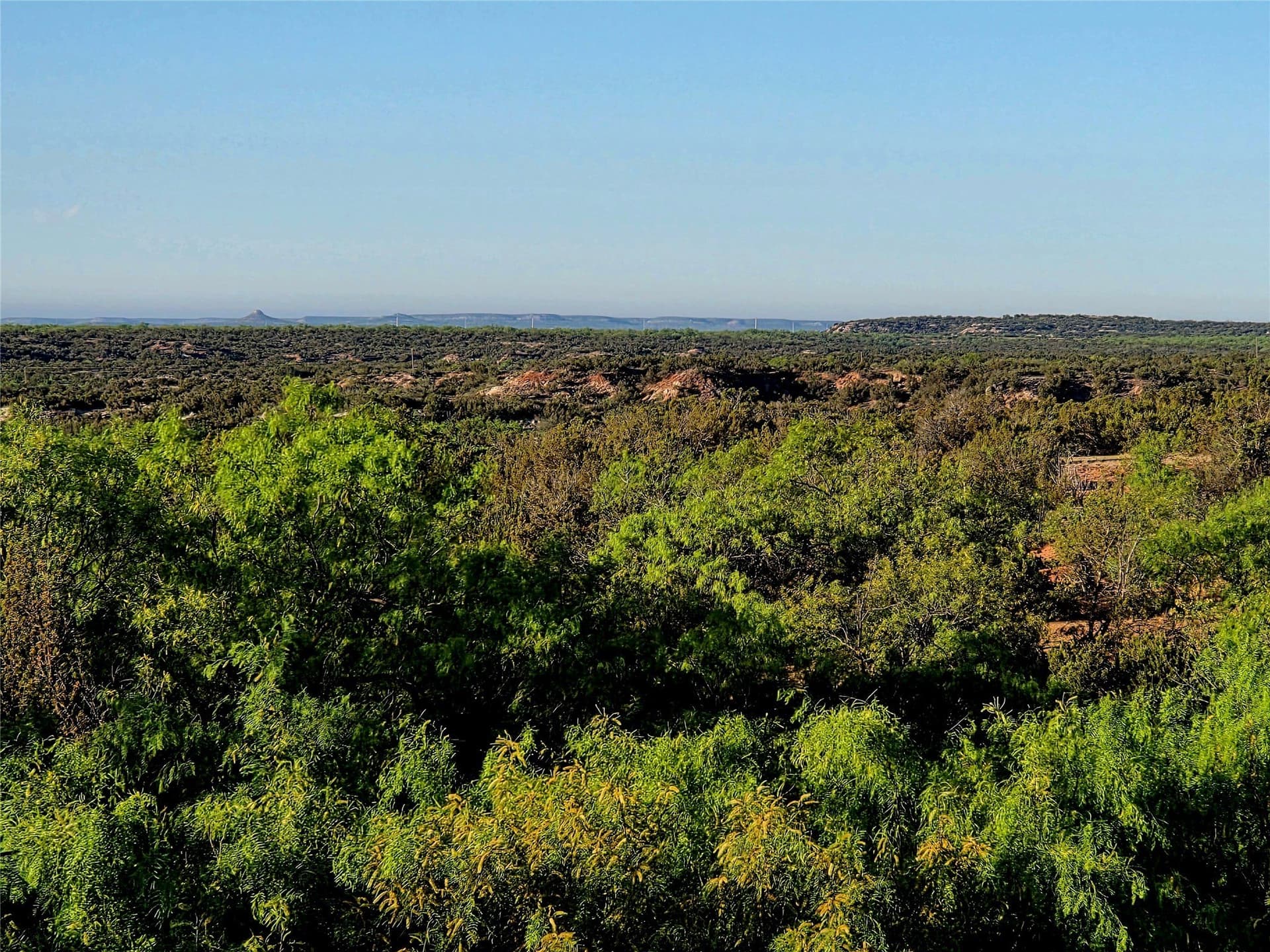 408.5 acres in Knox County - photo 21