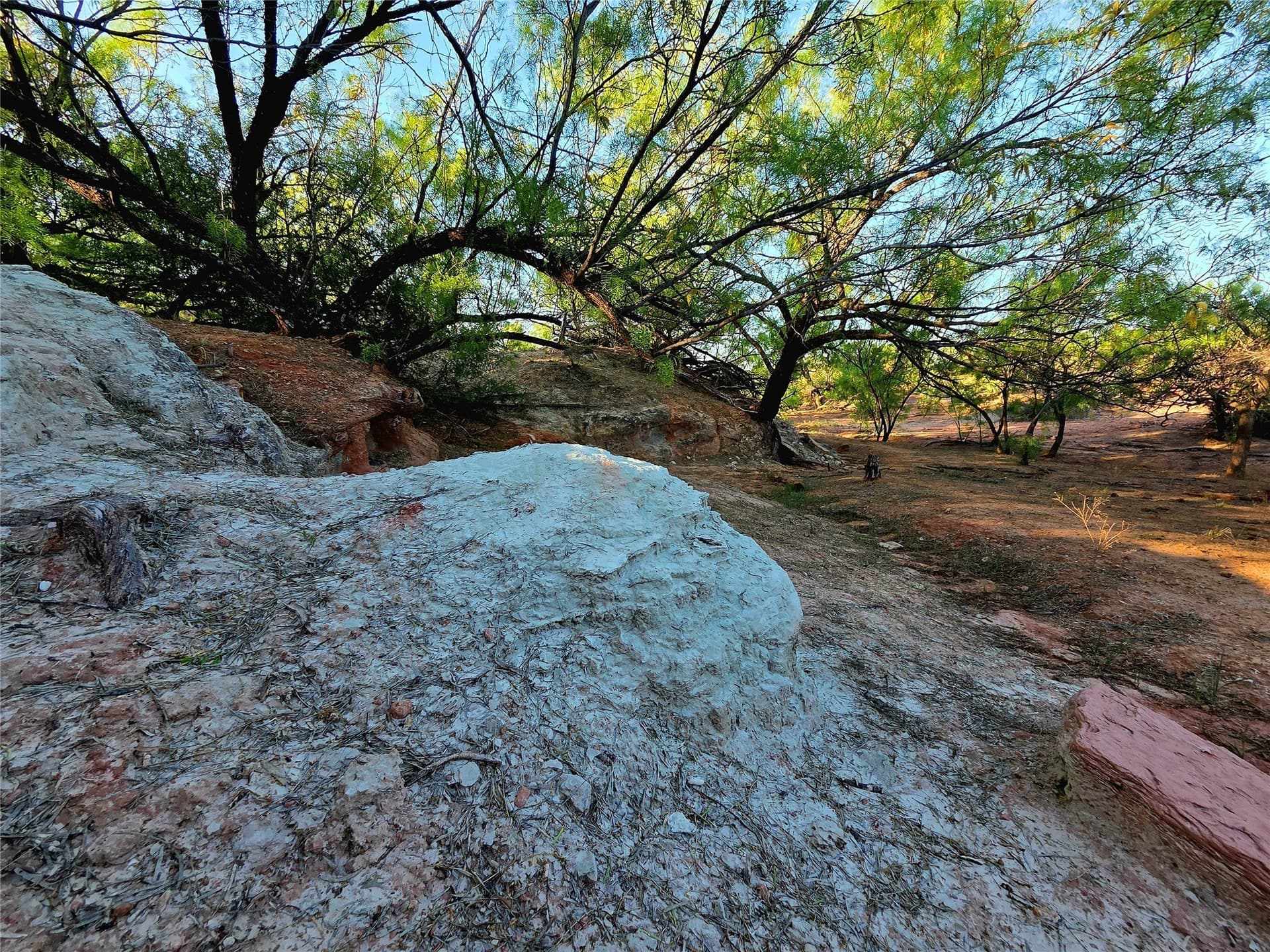 408.5 acres in Knox County - photo 20