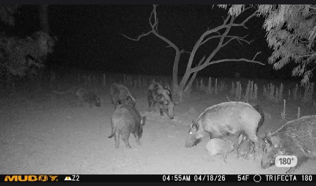 408.5 acres in Knox County - photo 30