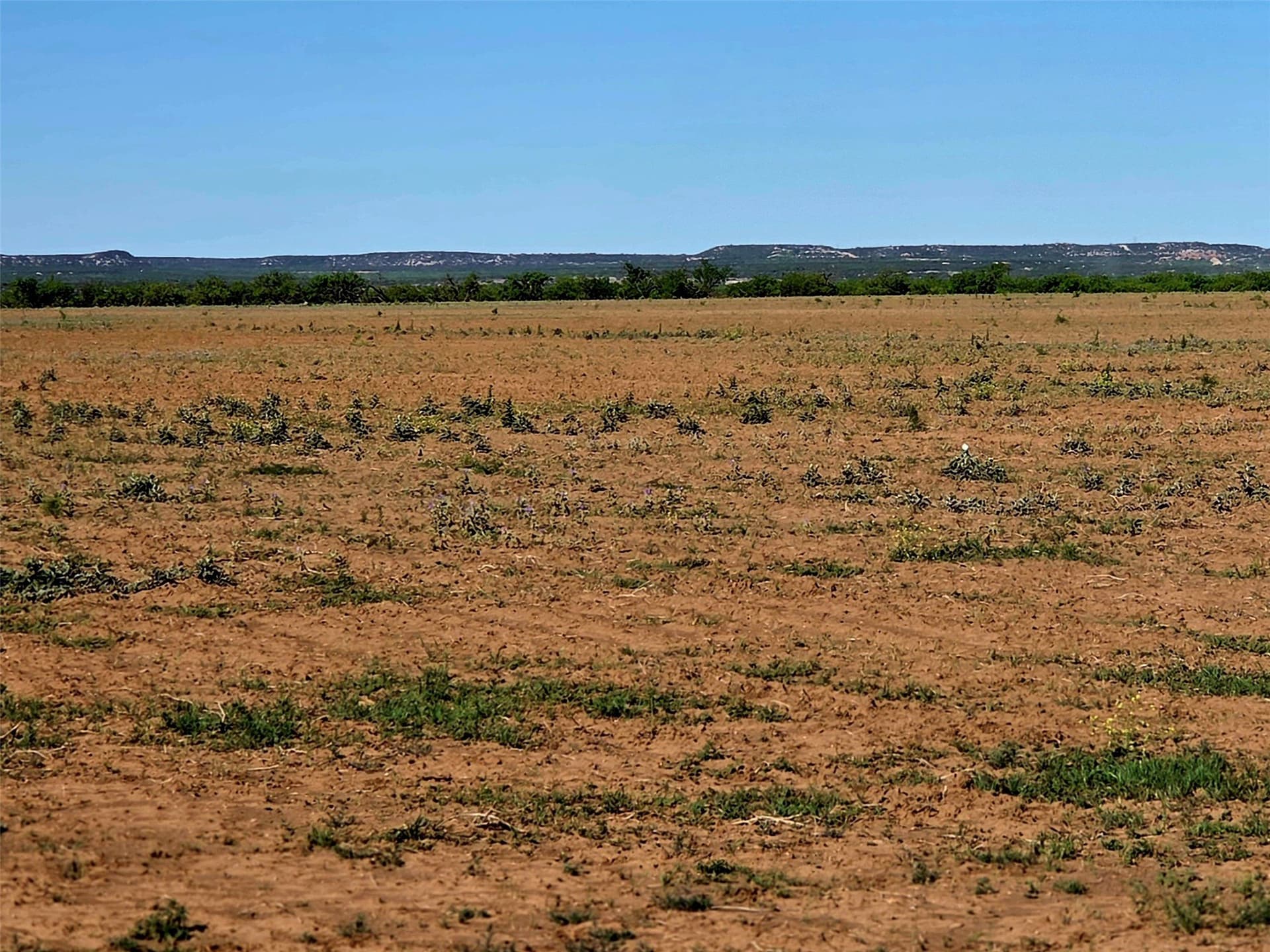 408.5 acres in Knox County - photo 24