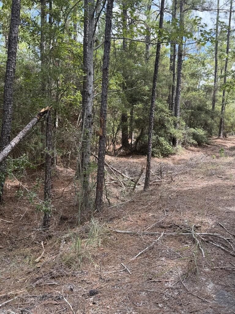 0.18 acres in Texas County - photo 5