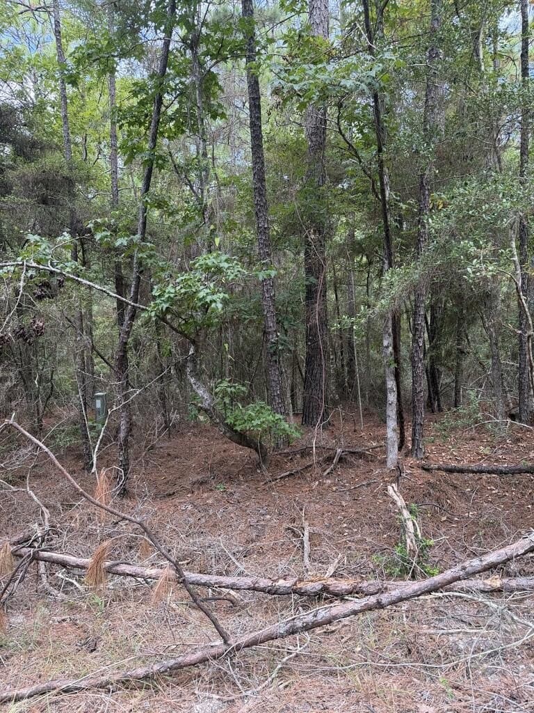 0.18 acres in Texas County - photo 2