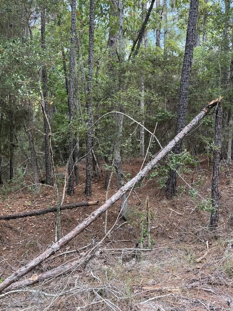 0.18 acres in Texas County - photo 4