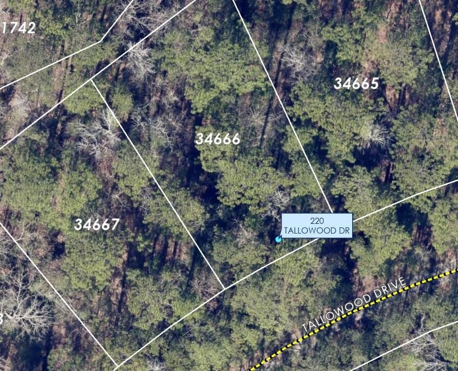 0.18 acres in Texas County - photo 6