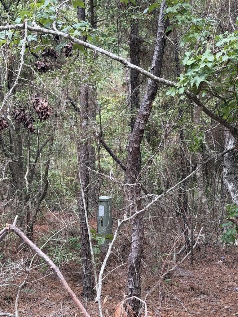 0.18 acres in Texas County - photo 3