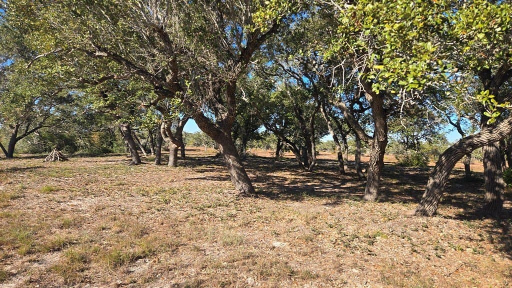 30 acres in Texas County featured view