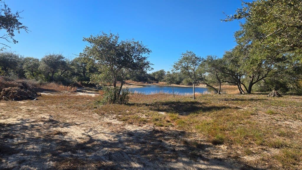 30 acres in Texas County gallery image 4