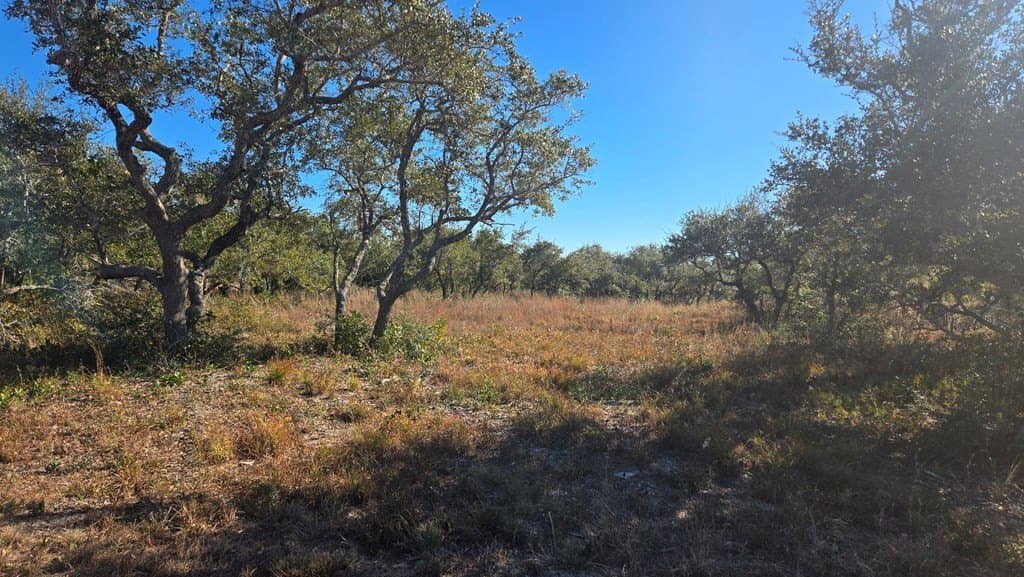 30 acres in Texas County gallery image 3