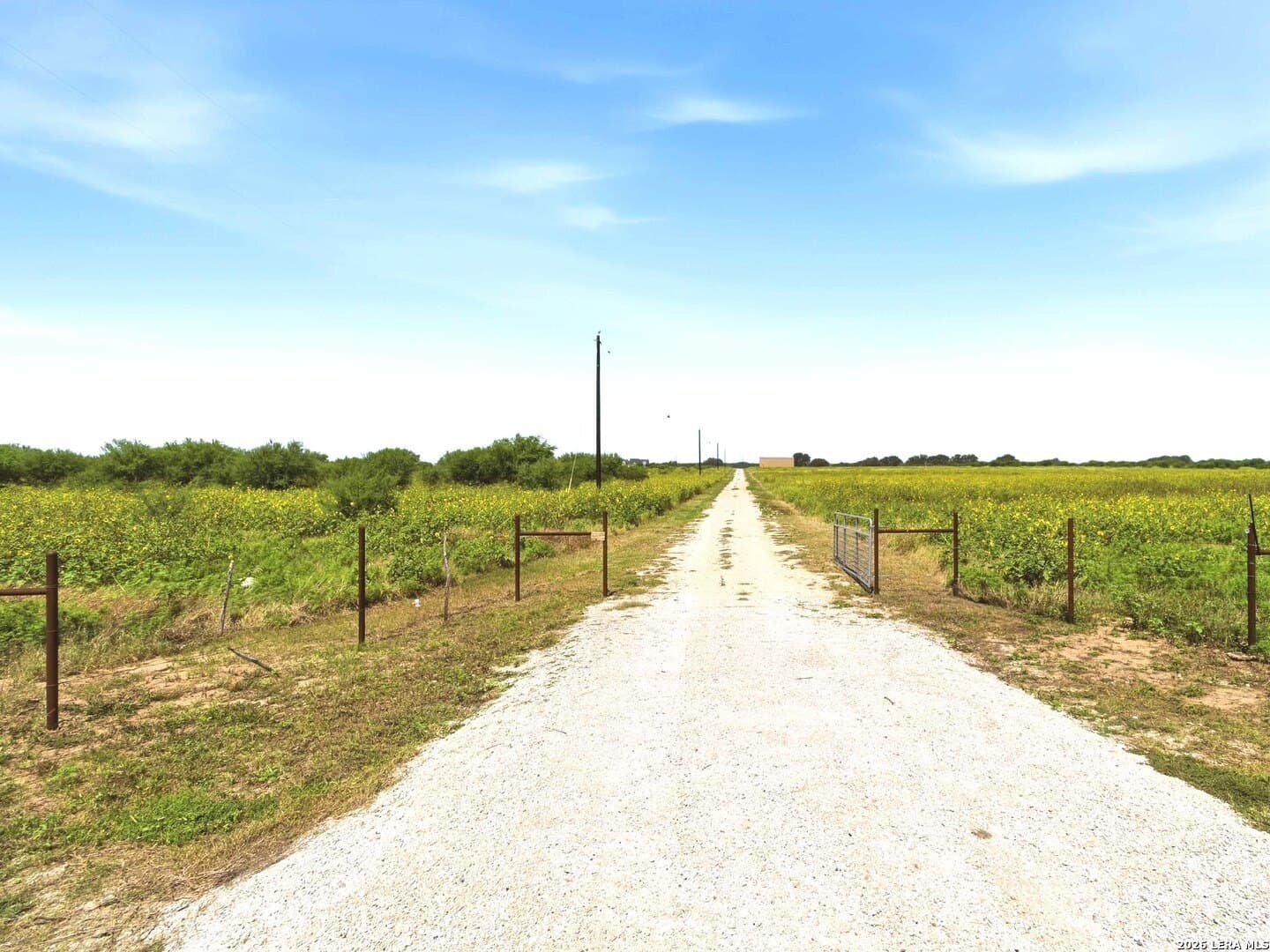 11.31 acres in Uvalde County gallery image 4