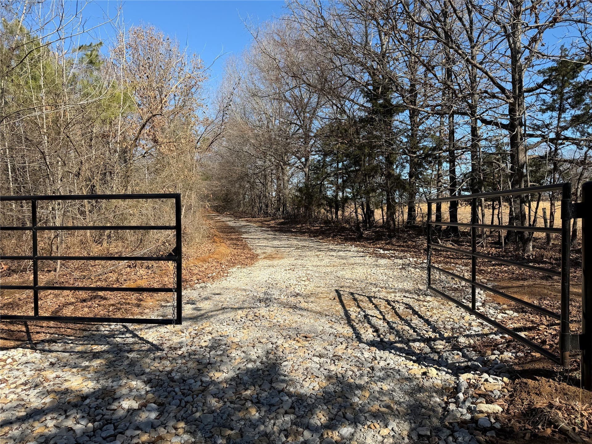 226 acres in Lamar County - photo 8