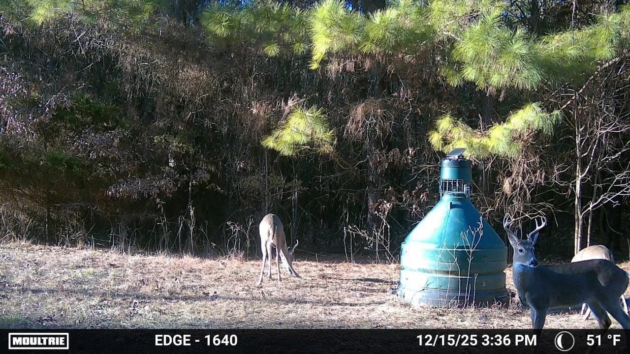 226 acres in Lamar County - photo 25